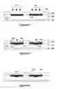 Fig. 13 - Methods of building crystalline silicon solar cells for use in combinatorial screening