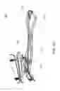 Fig. 09 - Swimming propulsion device