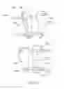 Fig. 33 - Swimming propulsion device