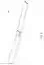 Fig. 49 - Swimming propulsion device