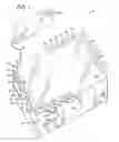 Fig. 02 - Gaming system having multiple player simultaneous display/input device