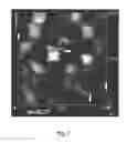 Fig. 08 - RF-properties-optimized compositions of (RE) BaCuOthin film superconductors