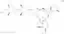 Fig. 08 - Avermectin B1 and avermectin B1 monosaccharide derivatives having an alkoxymethyl substituent in the 4″-or 4′-position