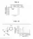 Fig. 06 - Methods and compositions for treating obesity and related disorders