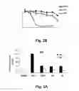 Fig. 03 - Hybrid-ionone and curcumin molecules as anticancer agents