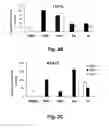 Fig. 04 - Hybrid-ionone and curcumin molecules as anticancer agents