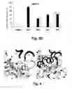 Fig. 05 - Hybrid-ionone and curcumin molecules as anticancer agents