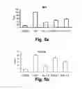 Fig. 06 - Hybrid-ionone and curcumin molecules as anticancer agents