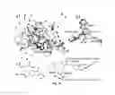 Fig. 17 - Hybrid-ionone and curcumin molecules as anticancer agents