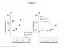 Fig. 06 - ALLEVIATING DISORDERS WITH COMBINING AGENTS THAT INCREASE EPOXYGENATED FATTY ACIDS AND AGENTS THAT INCREASE cAMP