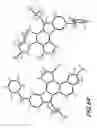 Fig. 55 - Forms of a fused pyrrolocarbazole compound