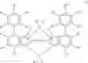 Fig. 09 - Metallocene complex and polymerization method of olefin
