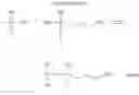 Fig. 03 - Process for the preparation of amine-amide-functional siloxanes