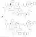 Fig. 166 - Immunomodulatory peptides