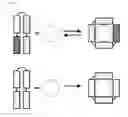 Fig. 02 - Compositions and methods for solubilizing membrane proteins without the use of detergent