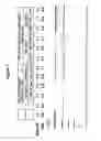 Fig. 02 - STABILIZATION OF NUCLEIC ACIDS ON SOLID SUPPORTS