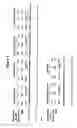 Fig. 06 - STABILIZATION OF NUCLEIC ACIDS ON SOLID SUPPORTS