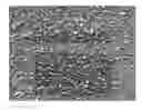 Fig. 01 - Method for producing fine metal hydroxide particles