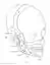 Fig. 02 - Device, System, And Method For Treating Sleep Apnea