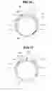 Fig. 07 - Endoscope cleaning sheath