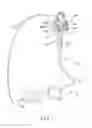 Fig. 02 - Illumination unit, endoscope having illumination unit and illumination probe having illumination unit which is inserted into endoscopic channel