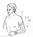 Fig. 01 - METHOD AND APPARATUS FOR MEASURING HEART RATE