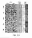 Fig. 09 - Raman imaging devices and methods of molecular imaging