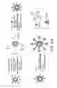 Fig. 22 - Raman imaging devices and methods of molecular imaging