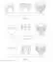 Fig. 02 - Array of disposable absorbent articles having a sequence of graphics corresponding to a wearer's stages of development