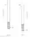 Fig. 15 - Fluid absorbent surgical device for cannulas