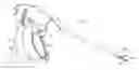 Fig. 01 - Surgical forceps