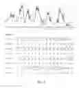 Fig. 09 - Electrical stimulation method and apparatus to stimulate nerve fibers