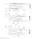 Fig. 09 - Endoprosthesis assemblies and methods for using the same