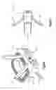 Fig. 07 - Arcuate fixation member