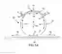 Fig. 02 - Magnetic spherical balancing robot drive