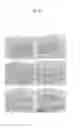 Fig. 03 - TRANSFORMED PLANT WITH INCREASED CHLOROPLASTS PER CELL
