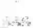 Fig. 08 - TRANSFORMED PLANT WITH INCREASED CHLOROPLASTS PER CELL