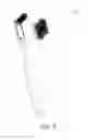 Fig. 03 - Brush head and its producing device