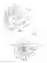 Fig. 02 - Powered weed trimmer cutting head and method
