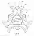 Fig. 08 - Footwear cleat