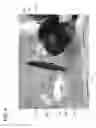 Fig. 05 - MOVABLE TURKEY DECOY AND METHOD OF MAKING SAME