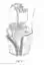 Fig. 06 - REUSABLE PLANT CONTAINER APPARATUS