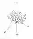 Fig. 01 - Biopolymer-based growth media, and methods of making and using same
