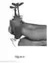 Fig. 09 - Biopolymer-based growth media, and methods of making and using same