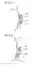Fig. 05 - Window regulator apparatus for vehicle