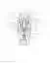 Fig. 02 - Regulated automatic changeover valve