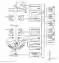 Fig. 01 - Charged particle beam device