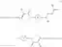 Fig. 02 - Polymerizable liquid crystal compound, polymerizable liquid crystal composition, polymer and film