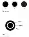 Fig. 02 - PROCESS OF FORMING A CADMIUM AND SELENIUM CONTAINING NANOCRYSTALLINE COMPOSITE AND NANOCRYSTALLINE COMPOSITE OBTAINED THEREFROM
