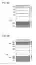Fig. 07 - Light-emitting element, light-emitting device, electronic device, and lighting device